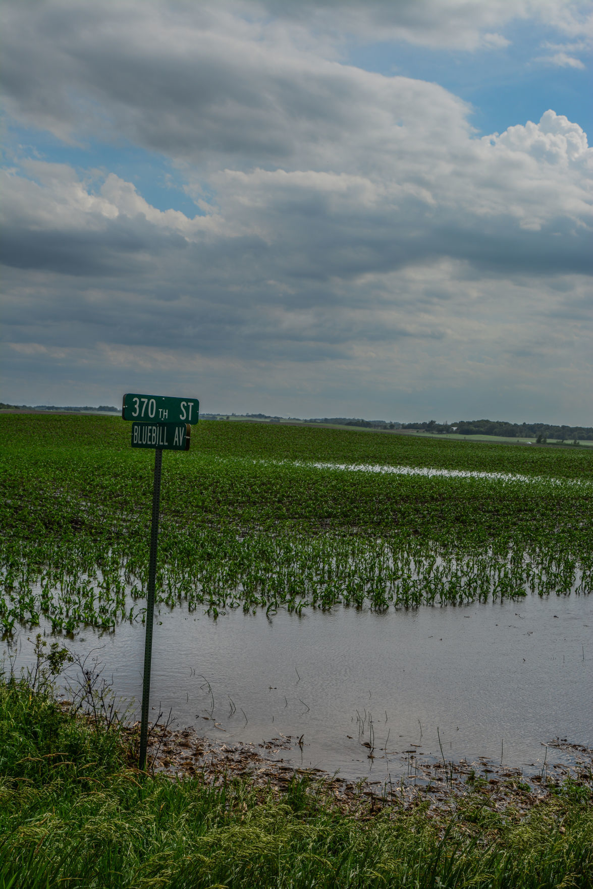 Mt Valley Township northeast of Forest City (8).jpg
